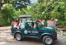 पर्यटन सत्र की तैयारियां पुरी, कल से पर्यटक कर सकेंगे जंगल सफारी।