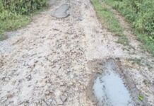 वाल्मीकिनगर के पर्यटन स्थल से जुड़े सड़क जर्जर।