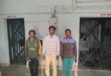 तीन वारंटी को पुलिस ने किया गिरफ्तार।