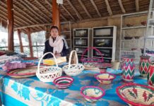 नए साल के जश्न को लेकर वीटीआर में तैयारियां अंतिम चरण में ठंड के बीच वीटीआर पर्यटकों से गुलजार।