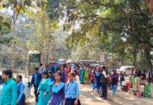 पर्यटकों से गुलजार हुआ वाल्मीकिनगर, 05 हजार सैलानियों की भीड़ उमड़ी, मैत्री क्रिकेट मैच ने बढ़ाई रौनक।