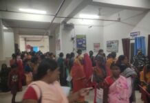 487 गर्भवति महिलाओं की हुई जांच।