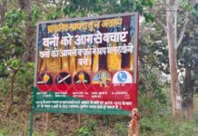 जंगल में आग लगाने वालों पर सख्ती, गैर-जमानती मामला होगा दर्ज, दो से तीन साल तक की सजा का प्रावधान।