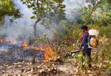 दहकता वीटीआर, बढ़ती गर्मी के साथ जंगलों में आग का तांडव, वन्य जीवन पर संकट।