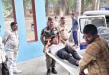 तेज रफ्तार का कहर, पेड़ से टकराई बाइक, तीन युवक गंभीर रूप से घायल