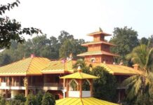 संगम तट पर उमड़ती आस्था, त्रिवेणी धाम बना श्रद्धा, प्रकृति और संस्कृति का अद्भुत केंद्र।