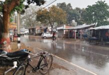 वीटीआर में राहत की बारिश, थमी हुई आग की रफ्तार।