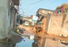 पंचायत प्रतिनिधियों के लापरवाही से ग्रामीण पथ पर जल जमाव हो जाने से राहगीर एवं ग्रामीण परेशान।