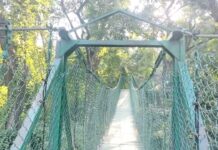 वीटीआर का मशहूर झूला पुल बंद, पर्यटकों में मायूसी।