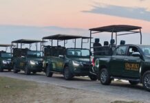 लग्जरी सफारी से बदला जंगल का सफर, वाल्मीकिनगर में पर्यटन को मिली नई रफ्तार।