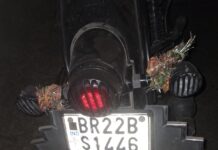 सड़क दुर्घटना में मुखिया पति की मौत, जांच में जुटी पुलिस।