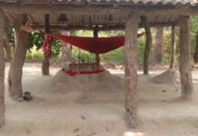 भेड़िहारी में गूंजेगा भक्ति का स्वर, 2 मई से 66 घंटे का भव्य अष्टयाम, 501 कन्याओं की कलश यात्रा आकर्षण का केंद्र।