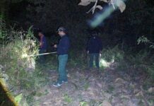 करंट के जाल से मौत की साजिश नाकाम, वन विभाग की छापेमारी में शिकारी फरार।