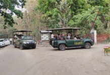 वाई-फाई से बढ़ा जंगल का रोमांच, एसी लग्जरी सफारी से बदला वीटीआर का पर्यटन अनुभव।