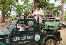 विदेशी पर्यटकों के आगमन से गुलजार हुआ वीटीआर, वन प्रशासन में उत्साह।