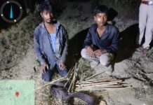 करंट जाल से वन्यजीवों के शिकार की साजिश नाकाम, दो गिरफ्तार, चार आरोपी फरार।