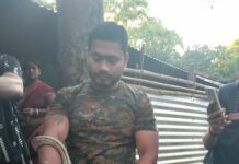 घर में निकला दुर्लभ ‘वन सुंदरी’ सांप, रेस्क्यू टीम ने सुरक्षित जंगल में छोड़ा