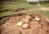 बालू माफियाओं एवं कारोबारी के द्वारा अब नदी को छोड़ बांध के किनारे वाले भाग को बनाया जा रहा है खनन करने को लेकर निशाना।