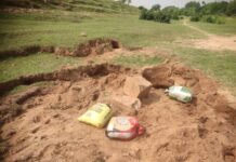 बालू माफियाओं एवं कारोबारी के द्वारा अब नदी को छोड़ बांध के किनारे वाले भाग को बनाया जा रहा है खनन करने को लेकर निशाना।