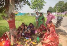 सुहागिन महिलाओं के द्वारा वट सावित्री पुजा करते हुए अपने पति की लंबी उम्र की कामना की।