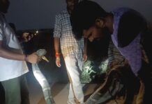 संतपुर गांव में निकला विशाल किंग कोबरा, दो घंटे चले रेस्क्यू ऑपरेशन के बाद जंगल में छोड़ा गया, दहशत के बीच टली बड़ी अनहोनी।