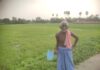 ग्रामीण नाले की पानी की निकास नहीं होने से किसानों के निजी खेत बने तालाब।
