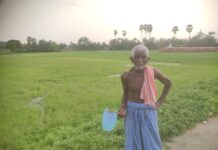 ग्रामीण नाले की पानी की निकास नहीं होने से किसानों के निजी खेत बने तालाब।
