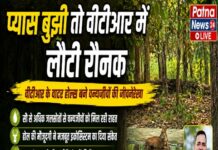 प्यास बुझी तो वीटीआर में लौटी रौनक, वीटीआर के वाटर होल्स बने वन्यजीवों की जीवन रेखा।