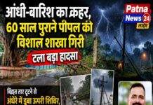 आंधी-बारिश का कहर, 60 साल पुराने पीपल की विशाल शाखा गिरी, टला बड़ा हादसा।
