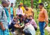 पर्यावरण दिवस पर सामूहिक पौधा रोपण का कार्यक्रम आयोजित।