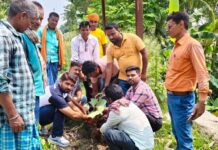 पर्यावरण दिवस पर सामूहिक पौधा रोपण का कार्यक्रम आयोजित।