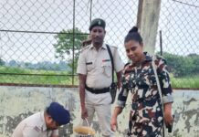 विश्व पर्यावरण दिवसके मौके खेसर थाना परिसर में इसके अलावे अन्य जगहों पर भी पौधा रोपण कार्य किया गया।