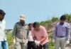 गंडक में लौटी घड़ियालों की किलकारी, पहले घोंसले से निकले 31 शावक।