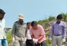 गंडक में लौटी घड़ियालों की किलकारी, पहले घोंसले से निकले 31 शावक।