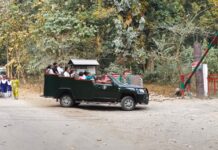 पर्यटन सत्र के अंतिम पड़ाव पर बढ़ी वीटीआर की रौनक।