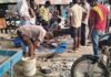महर्षि वाल्मीकि प्रतिमा के सामने गंदगी का अंबार, नाले के पानी और मछली बाजार से बिगड़ रही वाल्मीकिनगर की पहचान।