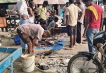 महर्षि वाल्मीकि प्रतिमा के सामने गंदगी का अंबार, नाले के पानी और मछली बाजार से बिगड़ रही वाल्मीकिनगर की पहचान।